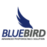Bluebird